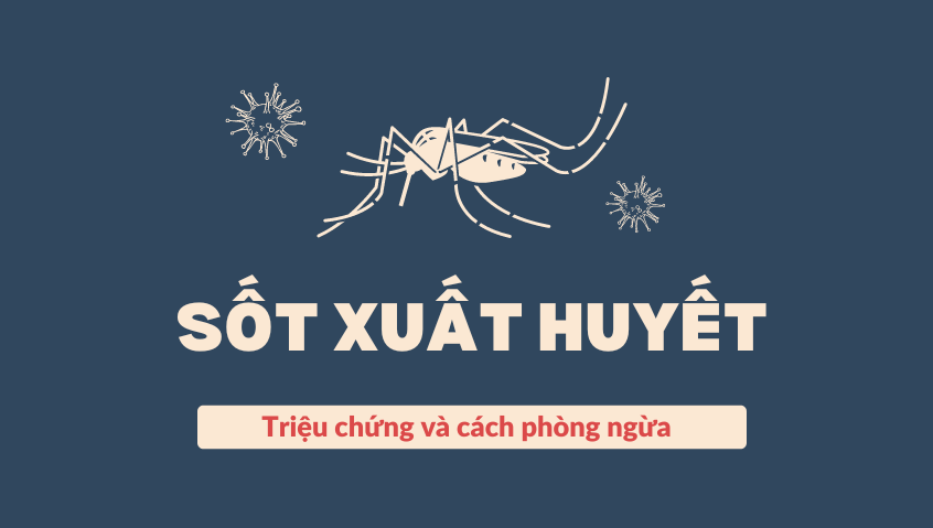 Sốt xuất huyết: Triệu chứng và cách phòng bệnh